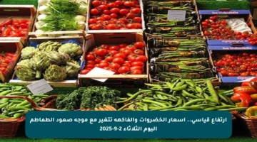 ارتفاع قياسي.. أسعار الخضروات والفاكهة تتغير مع موجة صعود الطماطم اليوم الثلاثاء 2-9-2025